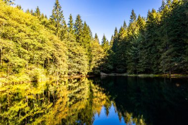 Thüringen Ormanı 'nda Zella-Mehlis ve Oberhof arasında Sternengrund' da güzel bir sonbahar yürüyüşü.