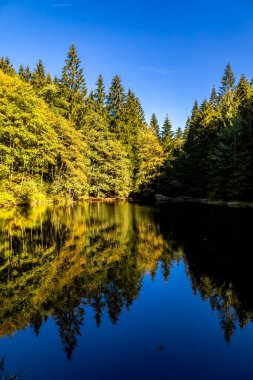 Thüringen Ormanı 'nda Zella-Mehlis ve Oberhof arasında Sternengrund' da güzel bir sonbahar yürüyüşü.