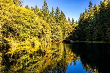 Thüringen Ormanı 'nda Zella-Mehlis ve Oberhof arasında Sternengrund' da güzel bir sonbahar yürüyüşü.