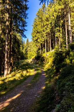 Thüringen Ormanı 'nda Zella-Mehlis ve Oberhof arasında Sternengrund' da güzel bir sonbahar yürüyüşü.