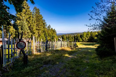 Thüringen Ormanı 'nda Zella-Mehlis ve Oberhof arasında Sternengrund' da güzel bir sonbahar yürüyüşü.