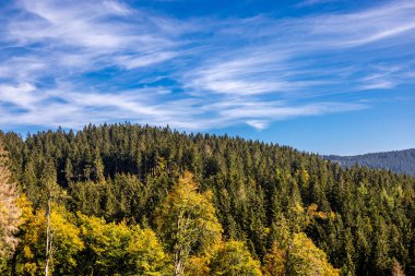 Thüringen Ormanı 'nda Zella-Mehlis ve Oberhof arasında Sternengrund' da güzel bir sonbahar yürüyüşü.