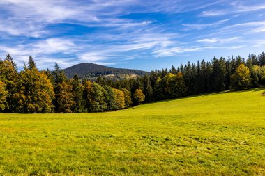 Thüringen Ormanı 'nda Zella-Mehlis ve Oberhof arasında Sternengrund' da güzel bir sonbahar yürüyüşü.