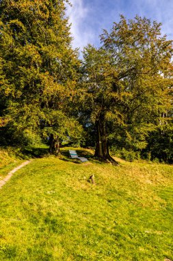 Thüringen Ormanı 'nda Zella-Mehlis ve Oberhof arasında Sternengrund' da güzel bir sonbahar yürüyüşü.
