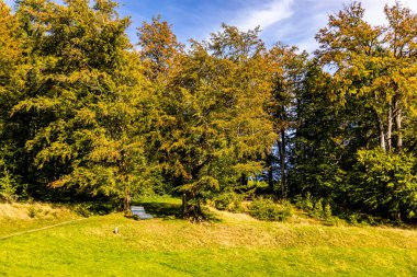 Thüringen Ormanı 'nda Zella-Mehlis ve Oberhof arasında Sternengrund' da güzel bir sonbahar yürüyüşü.
