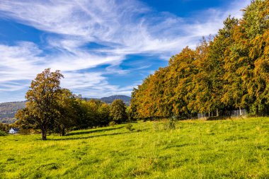 Thüringen Ormanı 'nda Zella-Mehlis ve Oberhof arasında Sternengrund' da güzel bir sonbahar yürüyüşü.