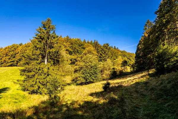 チュリンギャン山の森のゼラ メフリスとオーバーホフの間にある美しい秋のハイキング チューリンギア ドイツ — ストック写真