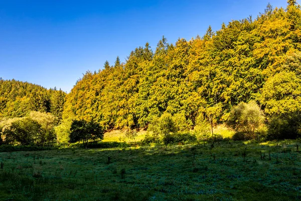 Thüringen Ormanı 'nda Zella-Mehlis ve Oberhof arasında Sternengrund' da güzel bir sonbahar yürüyüşü.