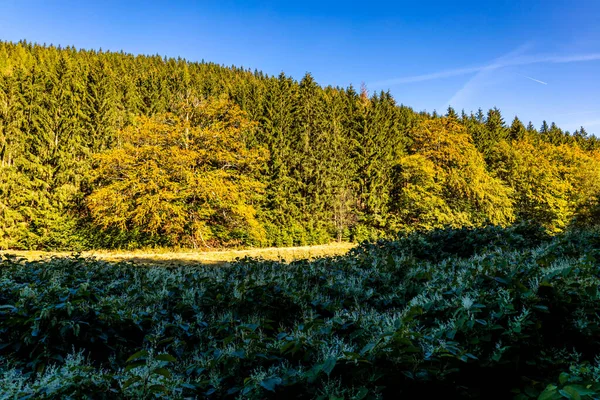 Krásná Podzimní Túra Přes Sternengrund Mezi Zella Mehlis Oberhof Durynském — Stock fotografie