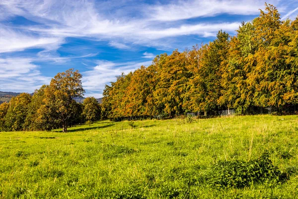 Thüringen Ormanı 'nda Zella-Mehlis ve Oberhof arasında Sternengrund' da güzel bir sonbahar yürüyüşü.