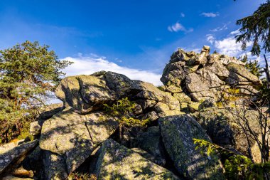 Bischofsgrn 'daki Fichtelgebirge' de güzel bir sonbahar yürüyüşü, Yukarı Franconia - Bavyera - Almanya