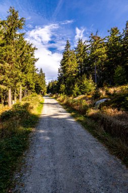 Bischofsgrn 'daki Fichtelgebirge' de güzel bir sonbahar yürüyüşü, Yukarı Franconia - Bavyera - Almanya