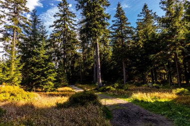 Bischofsgrn 'daki Fichtelgebirge' de güzel bir sonbahar yürüyüşü, Yukarı Franconia - Bavyera - Almanya