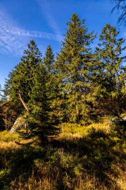 Bischofsgrn 'daki Fichtelgebirge' de güzel bir sonbahar yürüyüşü, Yukarı Franconia - Bavyera - Almanya