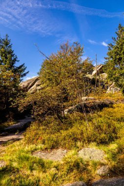 Bischofsgrn 'daki Fichtelgebirge' de güzel bir sonbahar yürüyüşü, Yukarı Franconia - Bavyera - Almanya