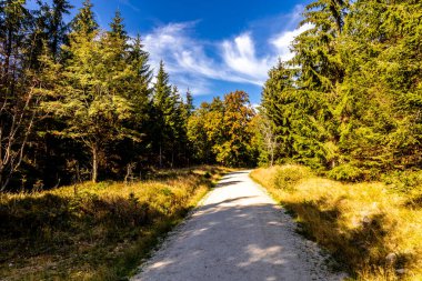 Bischofsgrn 'daki Fichtelgebirge' de güzel bir sonbahar yürüyüşü, Yukarı Franconia - Bavyera - Almanya