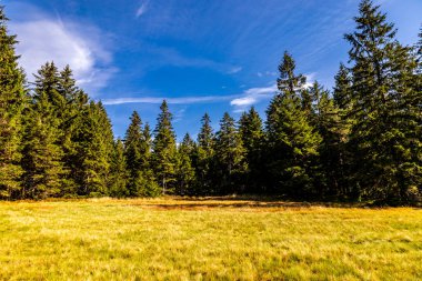 Bischofsgrn 'daki Fichtelgebirge' de güzel bir sonbahar yürüyüşü, Yukarı Franconia - Bavyera - Almanya