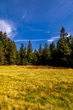 Bischofsgrn 'daki Fichtelgebirge' de güzel bir sonbahar yürüyüşü, Yukarı Franconia - Bavyera - Almanya