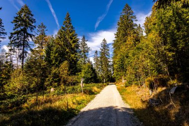 Bischofsgrn 'daki Fichtelgebirge' de güzel bir sonbahar yürüyüşü, Yukarı Franconia - Bavyera - Almanya