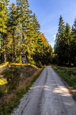 Bischofsgrn 'daki Fichtelgebirge' de güzel bir sonbahar yürüyüşü, Yukarı Franconia - Bavyera - Almanya