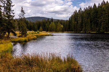 Bischofsgrn 'daki Fichtelgebirge' de güzel bir sonbahar yürüyüşü, Yukarı Franconia - Bavyera - Almanya