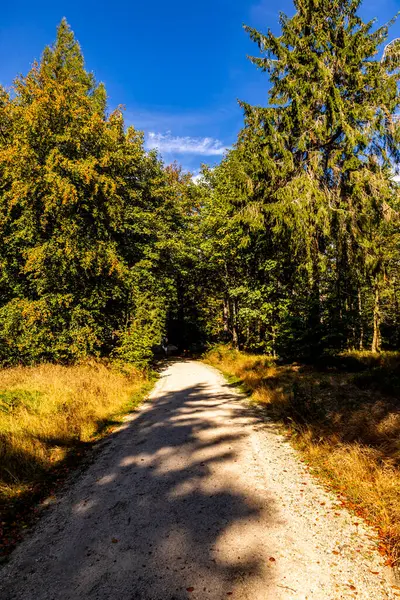 Beautiful autumn hike through the Fichtelgebirge in Bischofsgrn, Upper Franconia - Bavaria - Germany