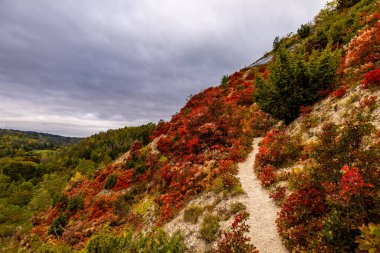 Jena - Thüringen yakınlarındaki Saale-Horizontale boyunca güzel bir sonbahar yürüyüşü.