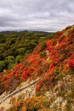 Jena - Thüringen yakınlarındaki Saale-Horizontale boyunca güzel bir sonbahar yürüyüşü.