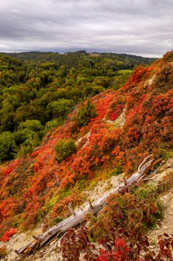 Jena - Thüringen yakınlarındaki Saale-Horizontale boyunca güzel bir sonbahar yürüyüşü.