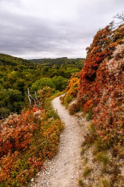 Jena - Thüringen yakınlarındaki Saale-Horizontale boyunca güzel bir sonbahar yürüyüşü.
