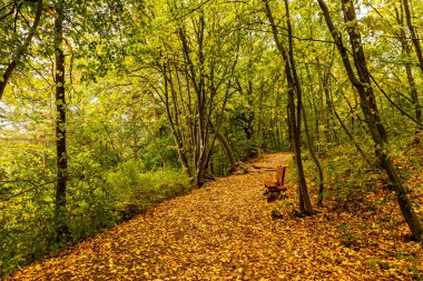 Jena - Thüringen yakınlarındaki Saale-Horizontale boyunca güzel bir sonbahar yürüyüşü.