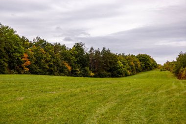 Jena - Thüringen yakınlarındaki Saale-Horizontale boyunca güzel bir sonbahar yürüyüşü.