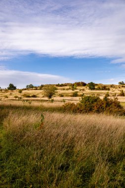 Jena - Thüringen yakınlarındaki Saale-Horizontale boyunca güzel bir sonbahar yürüyüşü.