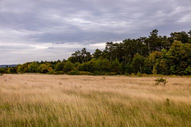 Jena - Thüringen yakınlarındaki Saale-Horizontale boyunca güzel bir sonbahar yürüyüşü.