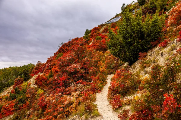 Beautiful colourful autumn hike along the Saale-Horizontale near Jena - Thuringia - Germany