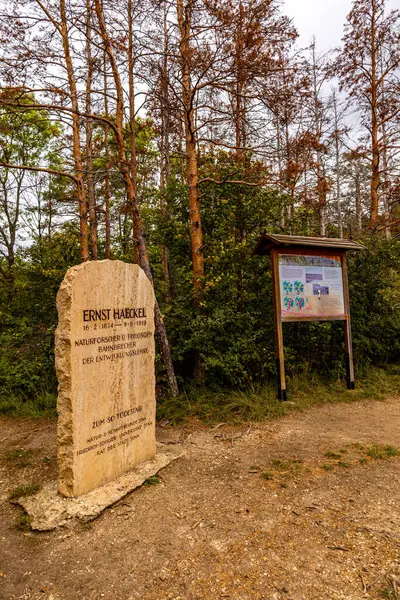 Jena - Thüringen yakınlarındaki Saale-Horizontale boyunca güzel bir sonbahar yürüyüşü.