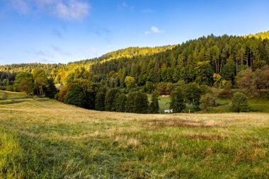 Thüringen Ormanı 'nda Oberhof ve Suhl üzerinden Almanya üzerinden sonbahar bisiklet turu