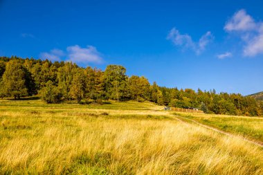 Thüringen Ormanı 'nda Oberhof ve Suhl üzerinden Almanya üzerinden sonbahar bisiklet turu