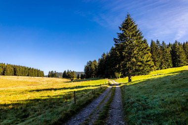 Thüringen Ormanı 'nda Oberhof ve Suhl üzerinden Almanya üzerinden sonbahar bisiklet turu