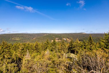 Thüringen Ormanı 'nda Oberhof ve Suhl üzerinden Almanya üzerinden sonbahar bisiklet turu