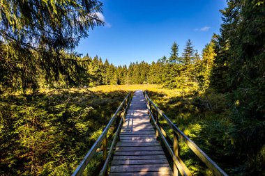 Thüringen Ormanı 'nda Oberhof ve Suhl üzerinden Almanya üzerinden sonbahar bisiklet turu