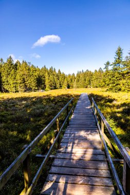 Thüringen Ormanı 'nda Oberhof ve Suhl üzerinden Almanya üzerinden sonbahar bisiklet turu