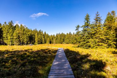 Thüringen Ormanı 'nda Oberhof ve Suhl üzerinden Almanya üzerinden sonbahar bisiklet turu
