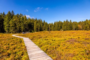 Thüringen Ormanı 'nda Oberhof ve Suhl üzerinden Almanya üzerinden sonbahar bisiklet turu