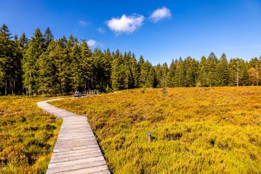 Thüringen Ormanı 'nda Oberhof ve Suhl üzerinden Almanya üzerinden sonbahar bisiklet turu