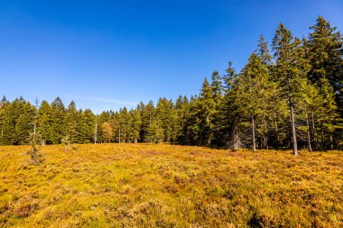 Thüringen Ormanı 'nda Oberhof ve Suhl üzerinden Almanya üzerinden sonbahar bisiklet turu