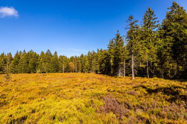 Thüringen Ormanı 'nda Oberhof ve Suhl üzerinden Almanya üzerinden sonbahar bisiklet turu