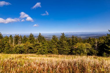 Thüringen Ormanı 'nda Oberhof ve Suhl üzerinden Almanya üzerinden sonbahar bisiklet turu