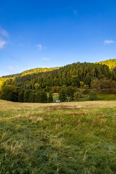 Thüringen Ormanı 'nda Oberhof ve Suhl üzerinden Almanya üzerinden sonbahar bisiklet turu