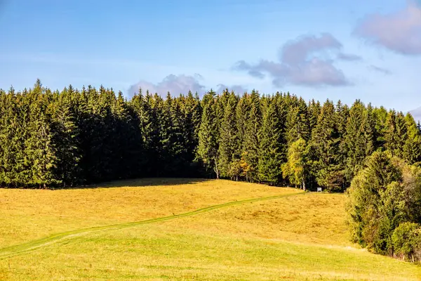 Thüringen Ormanı 'nda Oberhof ve Suhl üzerinden Almanya üzerinden sonbahar bisiklet turu